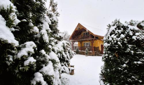 Bratca House | Casa de vacanta Bulz