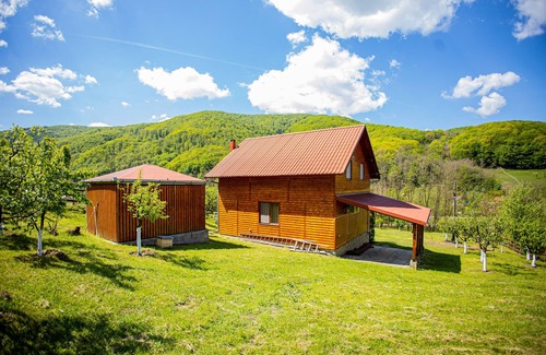 Pianu de Sus Cabin | Casa de Vacanta Hanes