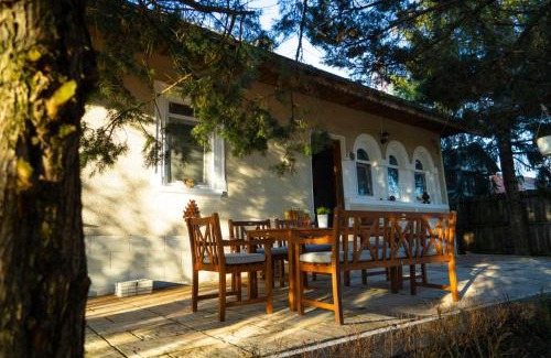 Sud-Vest House | Casa de Vacanta Nora