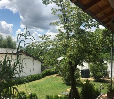 Sud-Vest House | Casa de Vacanta Nora