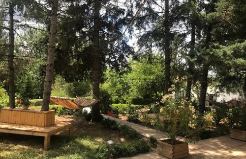 Sud-Vest House | Casa de Vacanta Nora