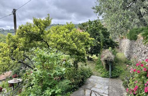 Camporotondo House | Casa degli Agrumi