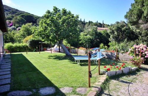 Bagno-Sprizze Apartment | Casa del Mare - Oasi verde a soli 100m dal mare!