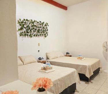 Jalatlaco House | Casa del Refugio