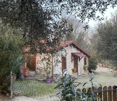 Albettone Ski Chalet | Casa dell'uliveto