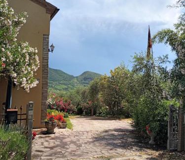 Albettone Ski Chalet | Casa dell'uliveto
