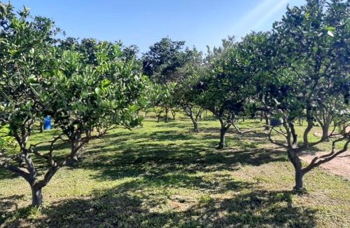 Lauro Muller Hotel | CASA DI PECORA - POUSADA RURAL
