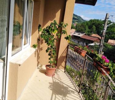 Oestii Paminteni House | Casa Diana-Maria