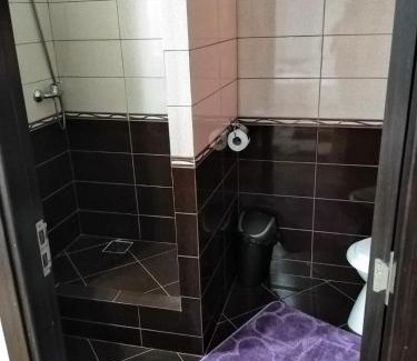 Oestii Paminteni House | Casa Diana-Maria