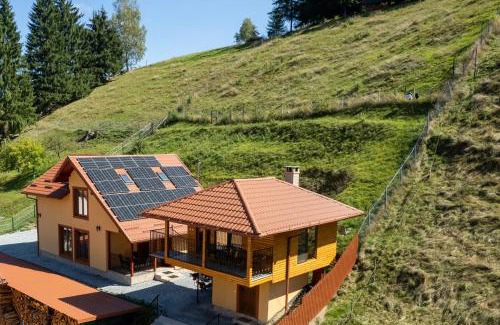 Vatra Dornei Villa | Casa Diana