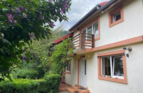 Leresti House | Casa Didy