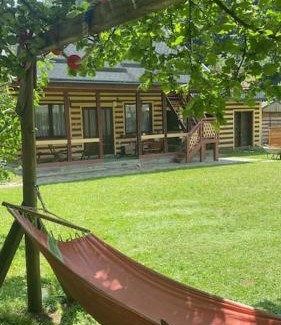 Banita House | Casa din Pădure