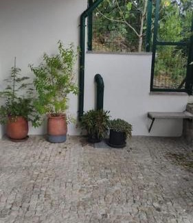 Amarante House | Casa Dionísio