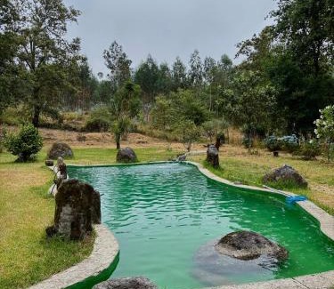 Guimaraes House | Casa do Arte - Peaceful Retreat with a Pool near Guimarães