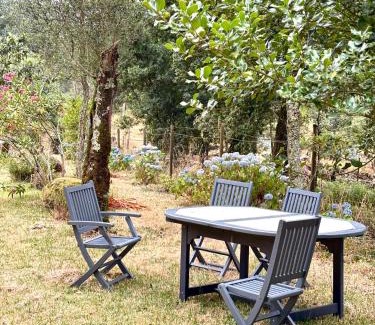 Guimaraes House | Casa do Arte - Peaceful Retreat with a Pool near Guimarães