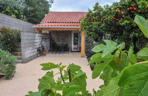 Refoios do Lima House | Casa do Azevinho - Grupo Casas Vale do Lima