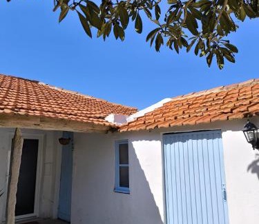 Estarreja House | Casa do Camondo