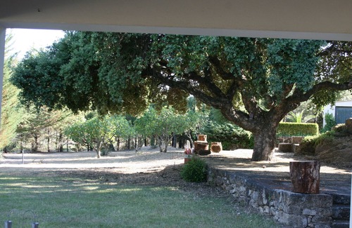 Castelo Branco Cottage | CASA DO CAMPO em quinta rural