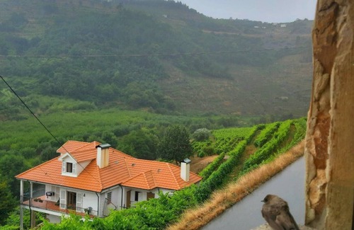 Lamego Villa | Casa do Caseiro - Quinta de Recião