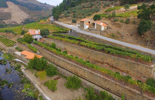 Lamego Villa | Casa do Caseiro - Quinta de Recião