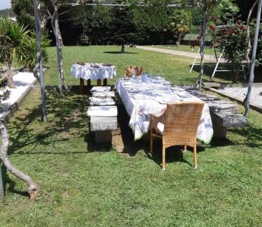 Caminha Bed & Breakfast | Casa do Coura