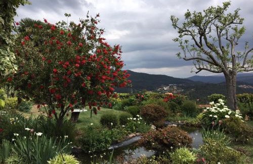 Amarante House | Casa do Crasto