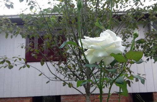 Barracao House | Casa do Joaquim