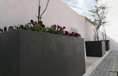 Seixal House | Casa do Lado - The next door