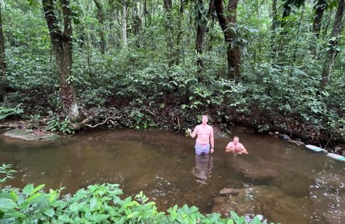 Marica House | Casa do mato