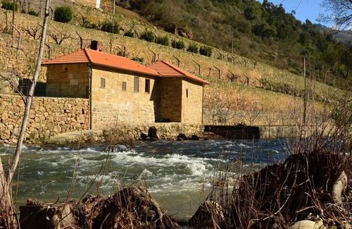 Varzea de Abrunhais Villa | Casa do Moinho - Quinta de Recião