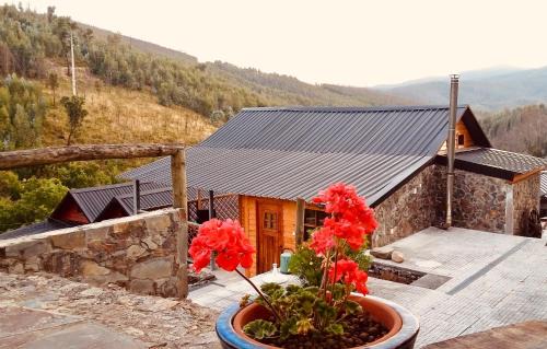 Figueiro dos Vinhos House | Casa do Ouriço