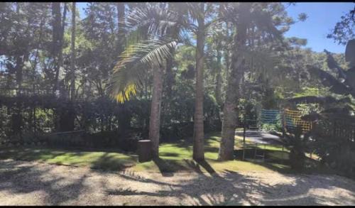 Santo Antonio do Pinhal House | Casa do Pico