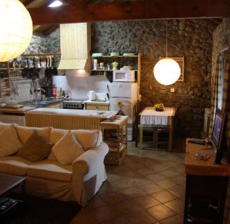 Bico Ski Chalet | Casa do Ribeiro - Casal Pedro