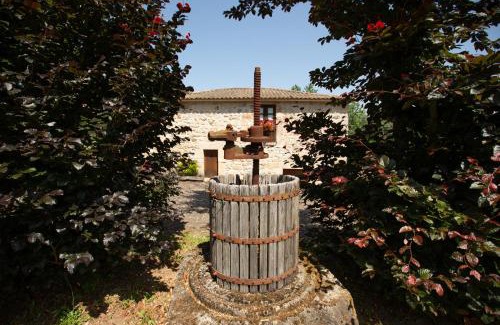 Ribeira de Pena House | Casa do Sobrado