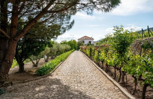 Provesende Villa | Casa do Vale - Retreat in the Douro Vineyards