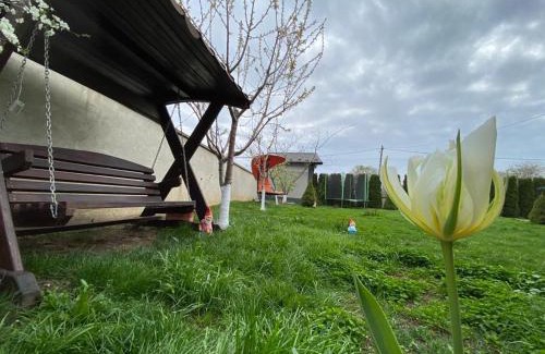 Razim Lake House | Casa Dor de Lac