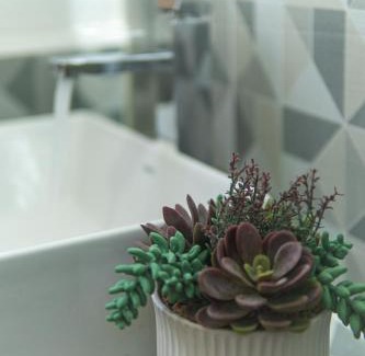 Leon Apartment | Casa Dorada