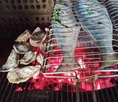 Acores Bed & Breakfast | Casa dos Açores B&B