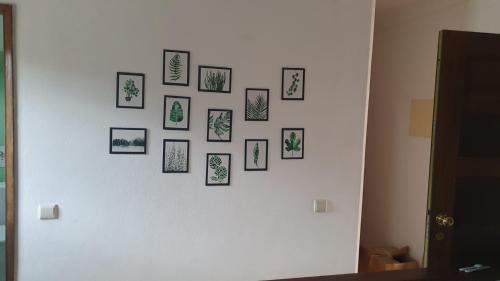 Ribeira de Pena House | Casa dos Covelos