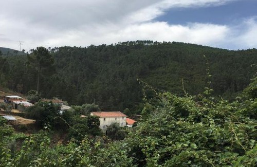 Fundao House | Casa dos Duartes