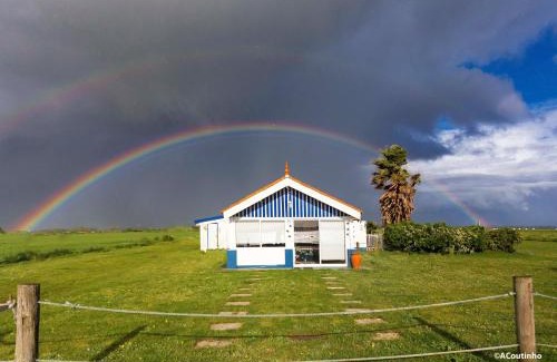 Murtosa House | Casa dos Flamingos