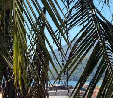 Vila do Abraao House | Casa dos Franceses Ilha Grande