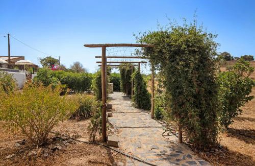 Martim Longo Villa | Casa dos Jotas