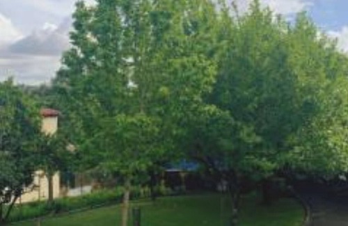 Portela House | Casa dos Tinocos