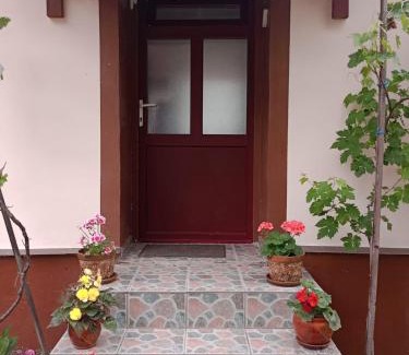 Ciclova Romana House | Casa Dragoi din Socolari, 218, Caras - Severin