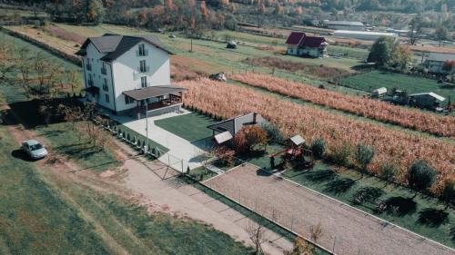 Cerasu House | Casa Dumitru