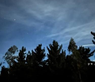 Pichilemu House | Casa Eco Bosque