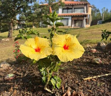 Villa de Leyva Hotel | Casa Edmond