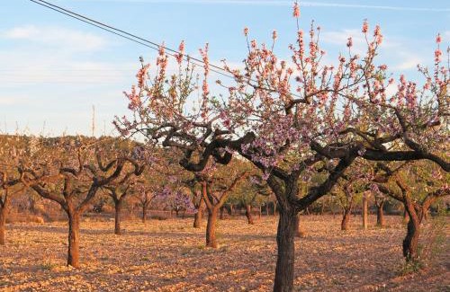 Vall d'Alba House | Casa El Ros II - Turistrat