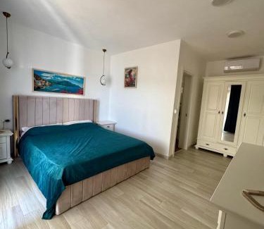Svinita House | Casa Elaria